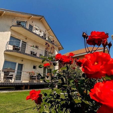 Vila Mosel Două Mai Kültér fotó